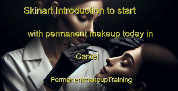 Skinart Introduction to start with permanent makeup today in Cantel | PermanentmakeupTraining | PermanentmakeupClasses | SkinartTraining-Indonesia