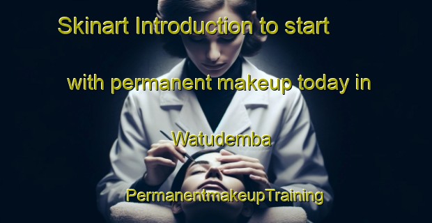 Skinart Introduction to start with permanent makeup today in Watudemba | #PermanentmakeupTraining #PermanentmakeupClasses #SkinartTraining-Indonesia