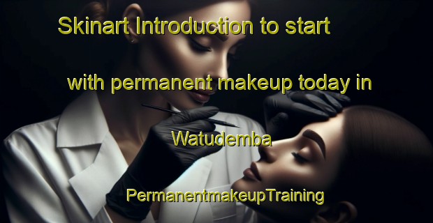 Skinart Introduction to start with permanent makeup today in Watudemba | #PermanentmakeupTraining #PermanentmakeupClasses #SkinartTraining-Indonesia