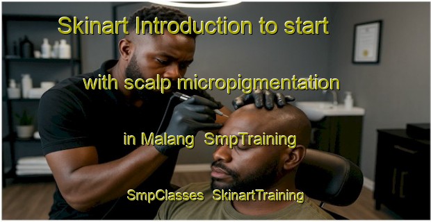 Skinart Introduction to start with scalp micropigmentation in Malang | SmpTraining | SmpClasses | SkinartTraining-Indonesia