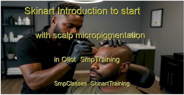 Skinart Introduction to start with scalp micropigmentation in Ollot | SmpTraining | SmpClasses | SkinartTraining-Indonesia