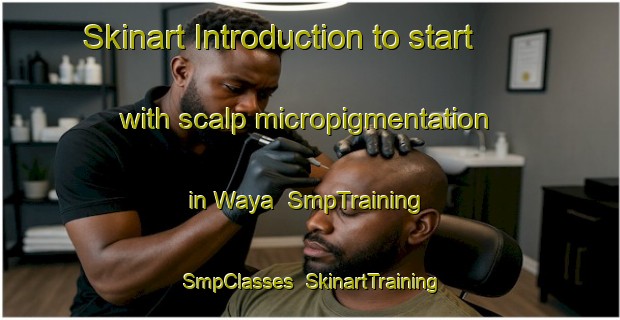 Skinart Introduction to start with scalp micropigmentation in Waya | SmpTraining | SmpClasses | SkinartTraining-Indonesia