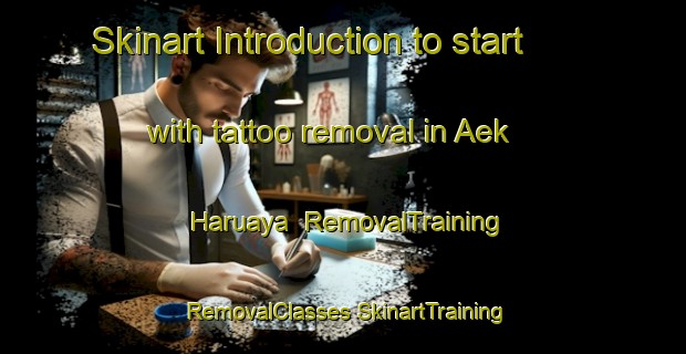 Skinart Introduction to start with tattoo removal in Aek Haruaya | #RemovalTraining #RemovalClasses #SkinartTraining-Indonesia