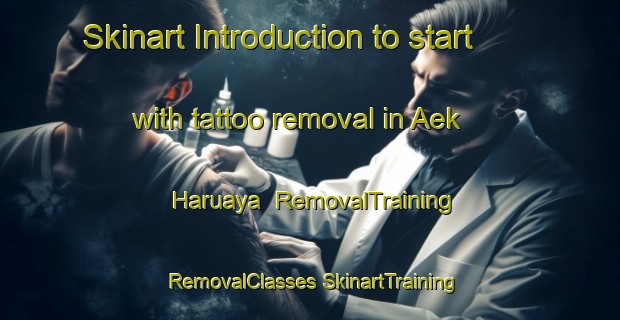 Skinart Introduction to start with tattoo removal in Aek Haruaya | #RemovalTraining #RemovalClasses #SkinartTraining-Indonesia