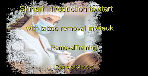 Skinart Introduction to start with tattoo removal in Ateuk | RemovalTraining | RemovalClasses | SkinartTraining-Indonesia