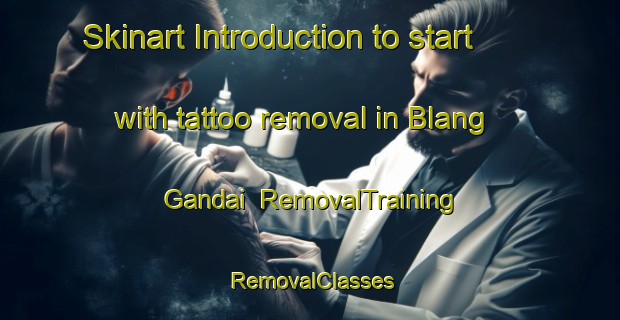 Skinart Introduction to start with tattoo removal in Blang Gandai | RemovalTraining | RemovalClasses | SkinartTraining-Indonesia