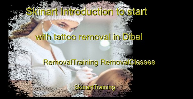 Skinart Introduction to start with tattoo removal in Dibal | #RemovalTraining #RemovalClasses #SkinartTraining-Indonesia