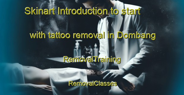 Skinart Introduction to start with tattoo removal in Dombang | RemovalTraining | RemovalClasses | SkinartTraining-Indonesia