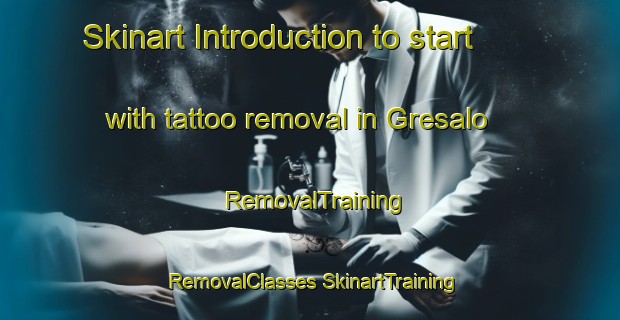 Skinart Introduction to start with tattoo removal in Gresalo | #RemovalTraining #RemovalClasses #SkinartTraining-Indonesia