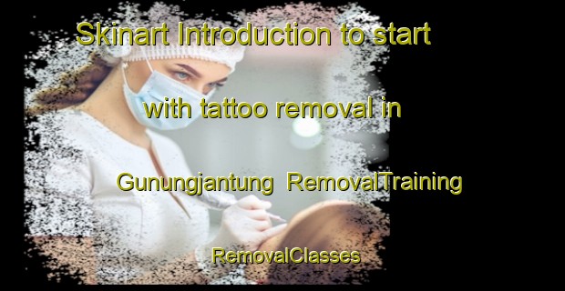 Skinart Introduction to start with tattoo removal in Gunungjantung | RemovalTraining | RemovalClasses | SkinartTraining-Indonesia