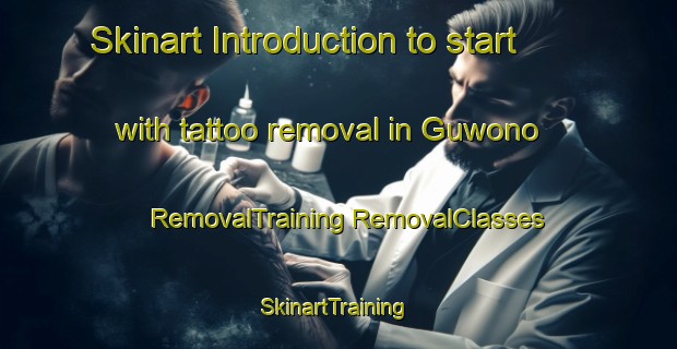 Skinart Introduction to start with tattoo removal in Guwono | #RemovalTraining #RemovalClasses #SkinartTraining-Indonesia