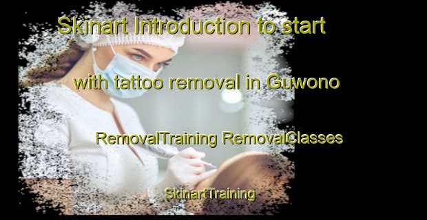 Skinart Introduction to start with tattoo removal in Guwono | #RemovalTraining #RemovalClasses #SkinartTraining-Indonesia