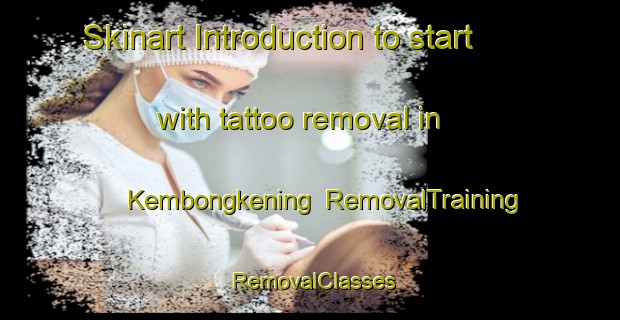Skinart Introduction to start with tattoo removal in Kembongkening | RemovalTraining | RemovalClasses | SkinartTraining-Indonesia