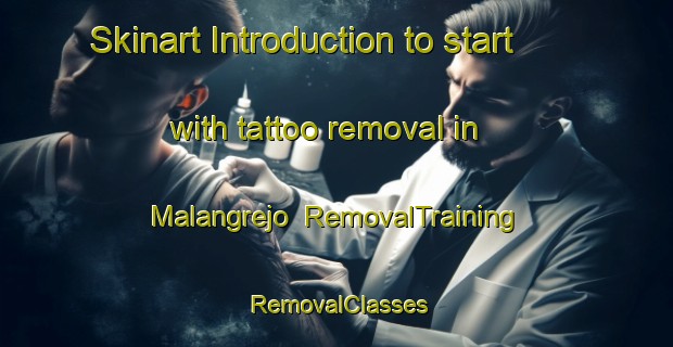 Skinart Introduction to start with tattoo removal in Malangrejo | RemovalTraining | RemovalClasses | SkinartTraining-Indonesia