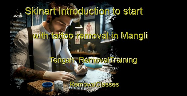 Skinart Introduction to start with tattoo removal in Mangli Tengah | RemovalTraining | RemovalClasses | SkinartTraining-Indonesia