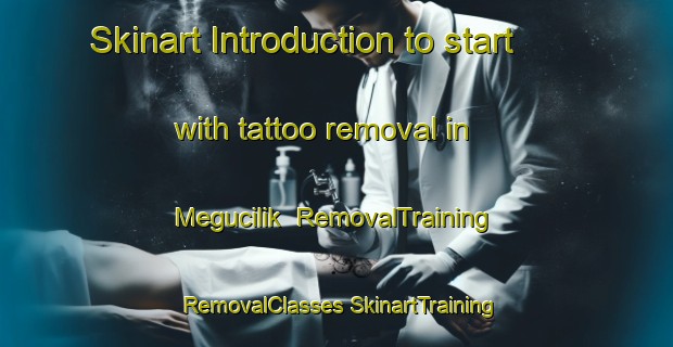 Skinart Introduction to start with tattoo removal in Megucilik | #RemovalTraining #RemovalClasses #SkinartTraining-Indonesia