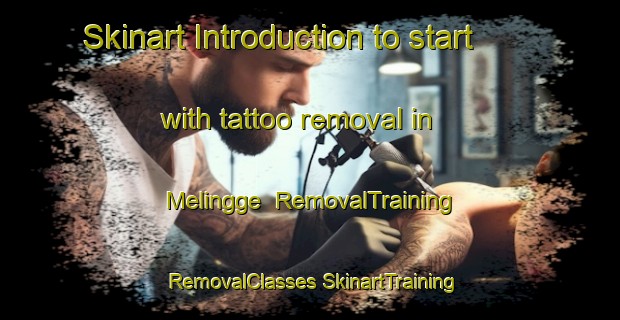 Skinart Introduction to start with tattoo removal in Melingge | #RemovalTraining #RemovalClasses #SkinartTraining-Indonesia