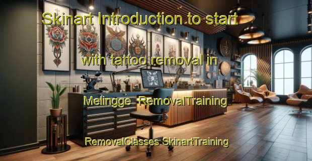 Skinart Introduction to start with tattoo removal in Melingge | #RemovalTraining #RemovalClasses #SkinartTraining-Indonesia