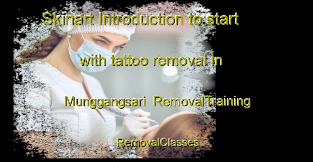 Skinart Introduction to start with tattoo removal in Munggangsari | RemovalTraining | RemovalClasses | SkinartTraining-Indonesia