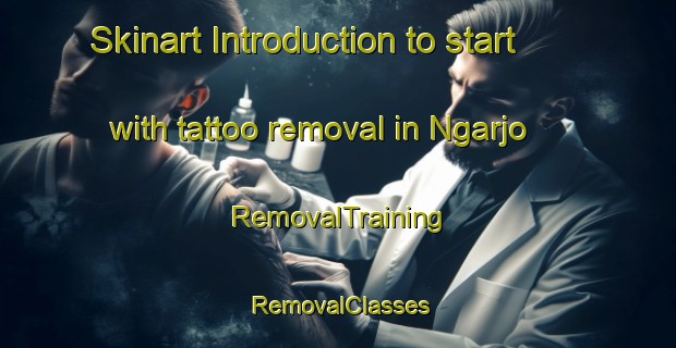 Skinart Introduction to start with tattoo removal in Ngarjo | RemovalTraining | RemovalClasses | SkinartTraining-Indonesia