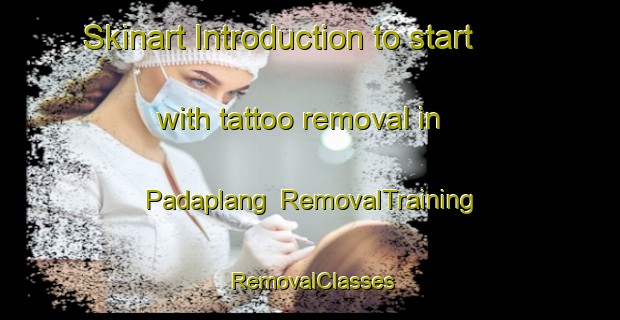 Skinart Introduction to start with tattoo removal in Padaplang | RemovalTraining | RemovalClasses | SkinartTraining-Indonesia