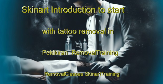 Skinart Introduction to start with tattoo removal in Pekikiran | #RemovalTraining #RemovalClasses #SkinartTraining-Indonesia