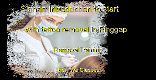 Skinart Introduction to start with tattoo removal in Pinggap | RemovalTraining | RemovalClasses | SkinartTraining-Indonesia