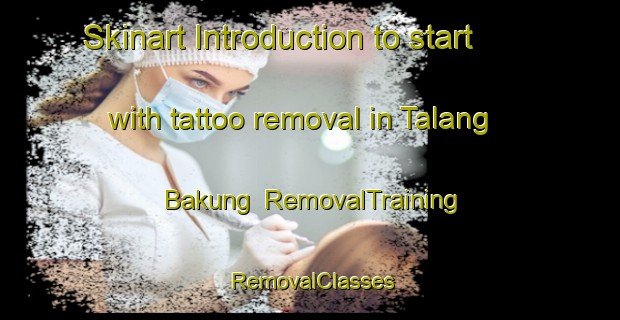 Skinart Introduction to start with tattoo removal in Talang Bakung | RemovalTraining | RemovalClasses | SkinartTraining-Indonesia