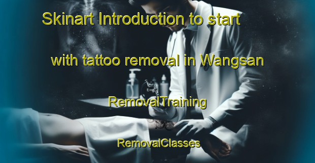Skinart Introduction to start with tattoo removal in Wangsan | RemovalTraining | RemovalClasses | SkinartTraining-Indonesia