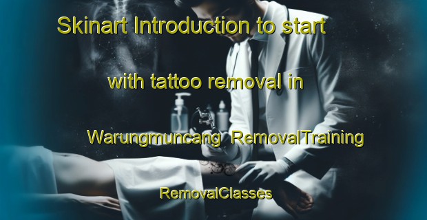 Skinart Introduction to start with tattoo removal in Warungmuncang | RemovalTraining | RemovalClasses | SkinartTraining-Indonesia