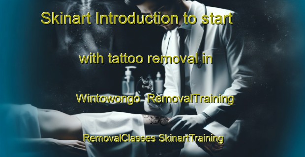 Skinart Introduction to start with tattoo removal in Wintowongo | #RemovalTraining #RemovalClasses #SkinartTraining-Indonesia