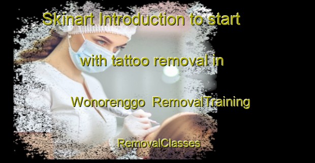 Skinart Introduction to start with tattoo removal in Wonorenggo | RemovalTraining | RemovalClasses | SkinartTraining-Indonesia