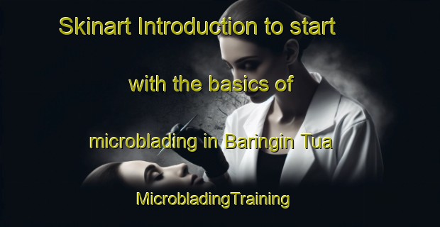 Skinart Introduction to start with the basics of microblading in Baringin Tua | MicrobladingTraining | MicrobladingClasses | SkinartTraining-Indonesia