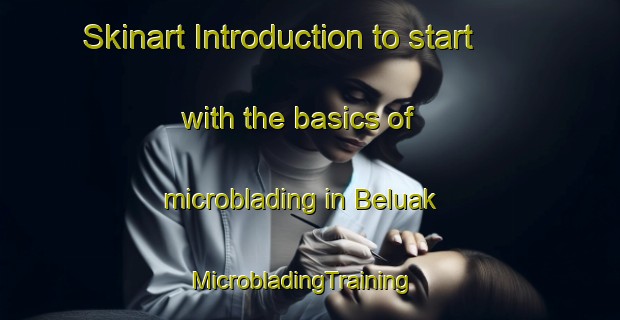Skinart Introduction to start with the basics of microblading in Beluak | MicrobladingTraining | MicrobladingClasses | SkinartTraining-Indonesia