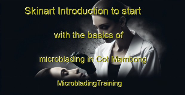 Skinart Introduction to start with the basics of microblading in Cot Mambong | MicrobladingTraining | MicrobladingClasses | SkinartTraining-Indonesia