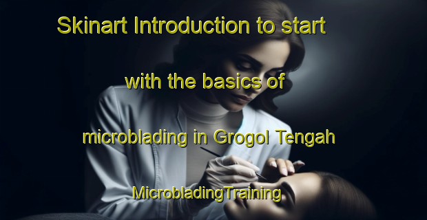 Skinart Introduction to start with the basics of microblading in Grogol Tengah | MicrobladingTraining | MicrobladingClasses | SkinartTraining-Indonesia