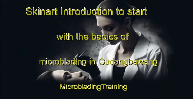 Skinart Introduction to start with the basics of microblading in Gudangbawang | MicrobladingTraining | MicrobladingClasses | SkinartTraining-Indonesia