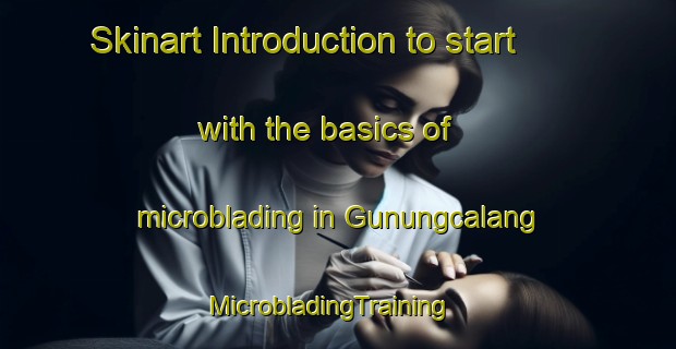 Skinart Introduction to start with the basics of microblading in Gunungcalang | MicrobladingTraining | MicrobladingClasses | SkinartTraining-Indonesia