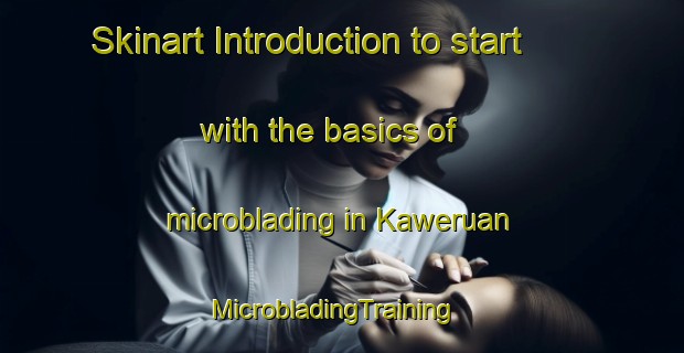 Skinart Introduction to start with the basics of microblading in Kaweruan | MicrobladingTraining | MicrobladingClasses | SkinartTraining-Indonesia