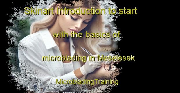 Skinart Introduction to start with the basics of microblading in Meselesek | MicrobladingTraining | MicrobladingClasses | SkinartTraining-Indonesia