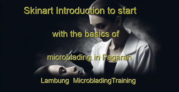 Skinart Introduction to start with the basics of microblading in Pagaran Lambung | MicrobladingTraining | MicrobladingClasses | SkinartTraining-Indonesia