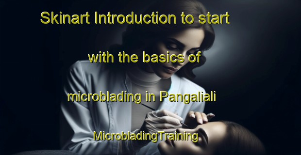 Skinart Introduction to start with the basics of microblading in Pangaliali | MicrobladingTraining | MicrobladingClasses | SkinartTraining-Indonesia