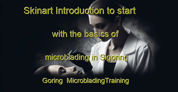 Skinart Introduction to start with the basics of microblading in Sigoring Goring | MicrobladingTraining | MicrobladingClasses | SkinartTraining-Indonesia