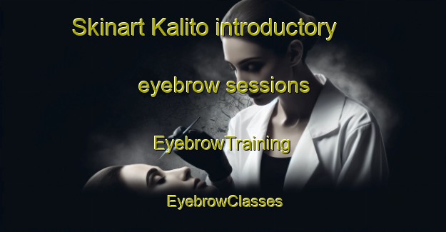 Skinart Kalito introductory eyebrow sessions | EyebrowTraining | EyebrowClasses | SkinartTraining-Indonesia