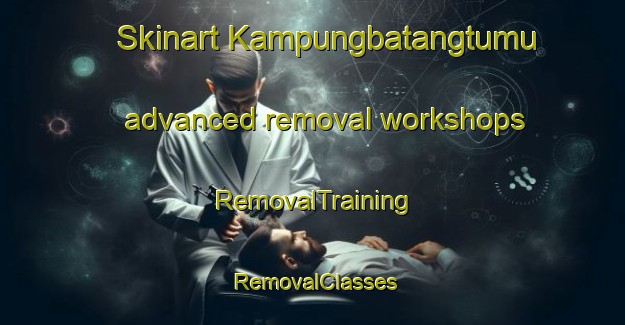Skinart Kampungbatangtumu advanced removal workshops | RemovalTraining | RemovalClasses | SkinartTraining-Indonesia