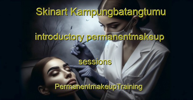 Skinart Kampungbatangtumu introductory permanentmakeup sessions | PermanentmakeupTraining | PermanentmakeupClasses | SkinartTraining-Indonesia