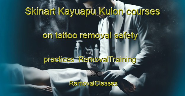 Skinart Kayuapu Kulon courses on tattoo removal safety practices | RemovalTraining | RemovalClasses | SkinartTraining-Indonesia