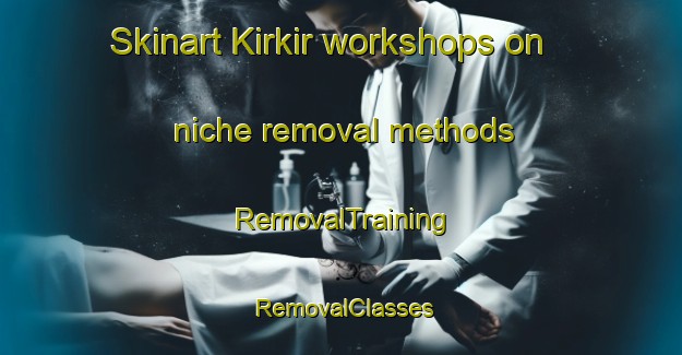 Skinart Kirkir workshops on niche removal methods | RemovalTraining | RemovalClasses | SkinartTraining-Indonesia