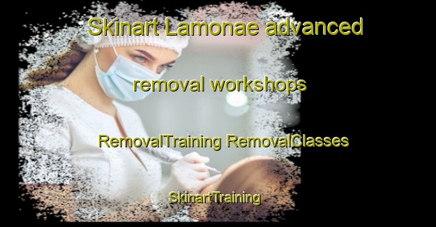 Skinart Lamonae advanced removal workshops | #RemovalTraining #RemovalClasses #SkinartTraining-Indonesia