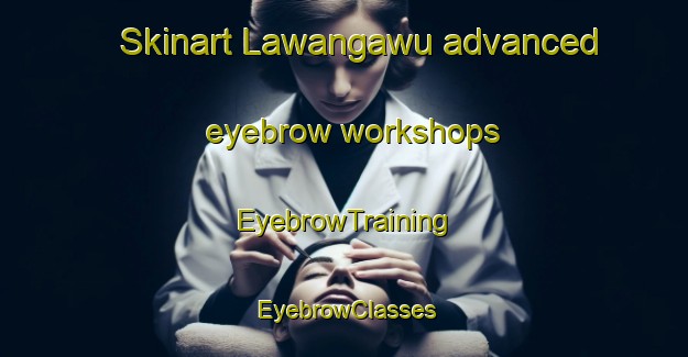 Skinart Lawangawu advanced eyebrow workshops | EyebrowTraining | EyebrowClasses | SkinartTraining-Indonesia